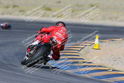 media/Apr-14-2024-SoCal Trackdays (Sun) [[70f97d3d4f]]/2-Turn 11 Backside (935am)/